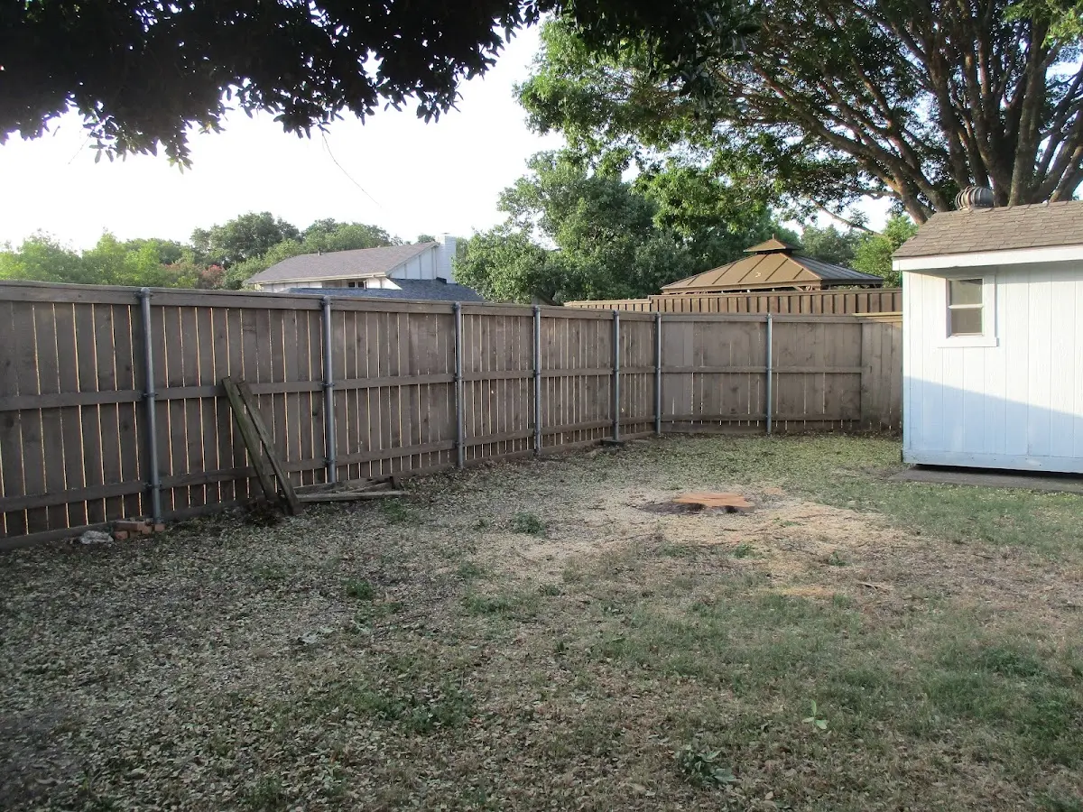 Cleared yard after professional tree removal in Childwold